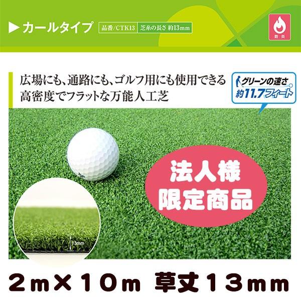 J[lH N[o[^[t J[^Cv O[ 2m×10m 13mmivdlEhKjLAʘHAStpɂgpł鍂xȖ\lH