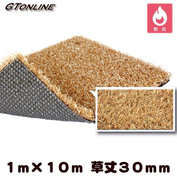 J[lH N[o[^[t J[^Cv e 1m×10m 30mmivdlEhKj