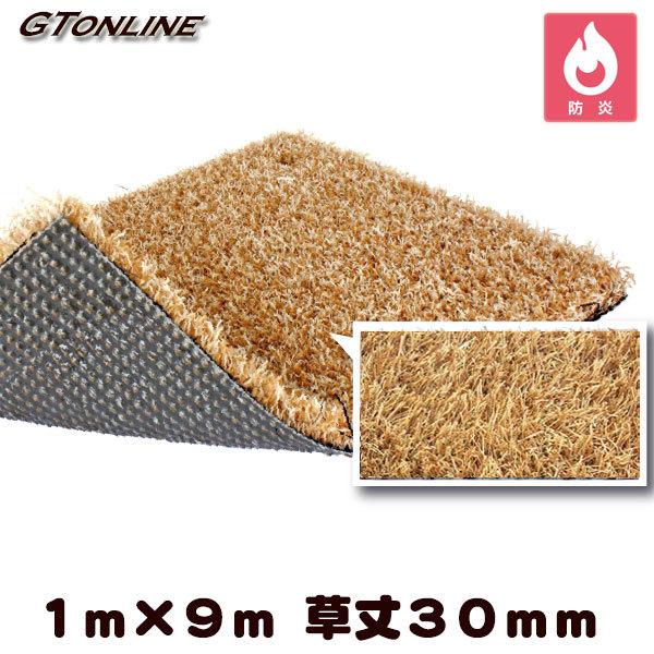 J[lH N[o[^[t M[^Cv e 1m×9m 30mm i vdl hKi j