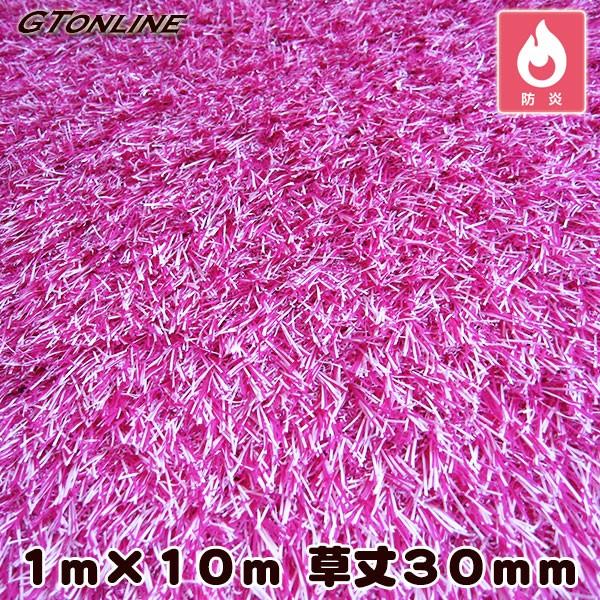 J[lH N[o[^[t J[^Cv sN 1m×10m 30mmivdlEhKj