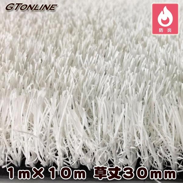 J[lH N[o[^[t J[^Cv zCg 1m×10m 30mmivdlEhKj