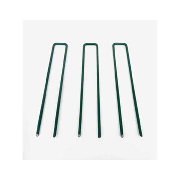 50{ N[o[^[t OUs 30mm×180mm lHŃ[ƓŊ{