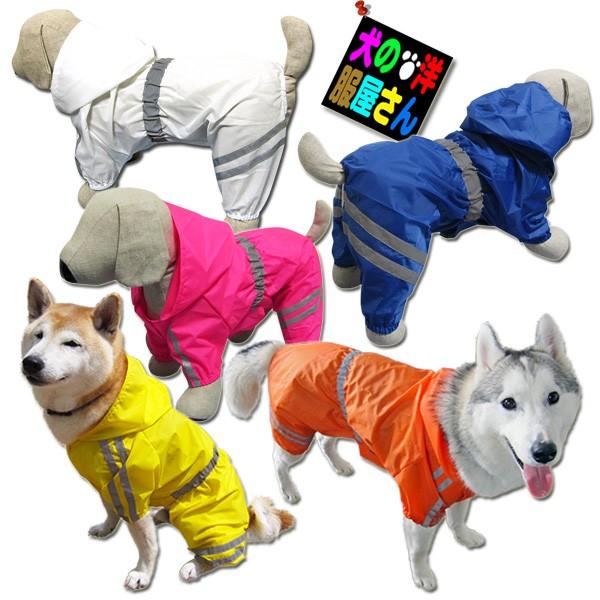  ˃e[vt S{CR[gi^ ^pj̕Q_wŃ[֑ S[f uh[go[ h[x} nXL[