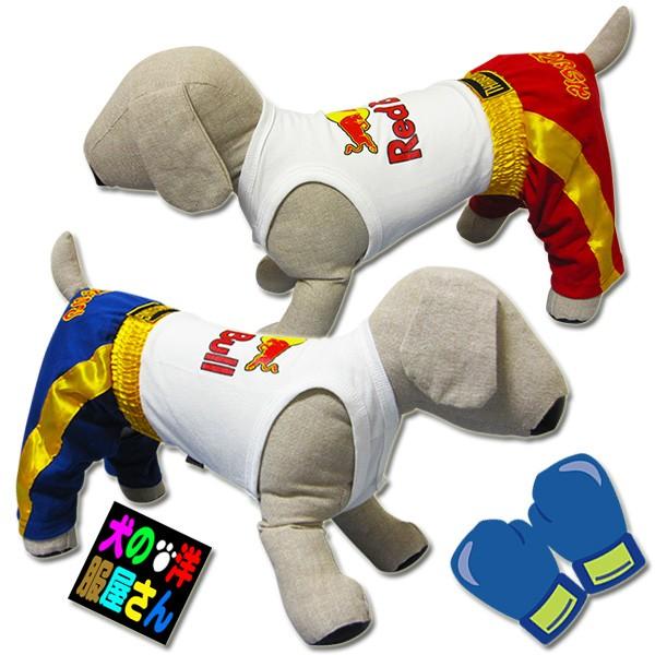  LbN{NVO G^Cpci^p)̕Q_wŃ[֑  p[X Č R[M[ r[O VFeB v[h pO