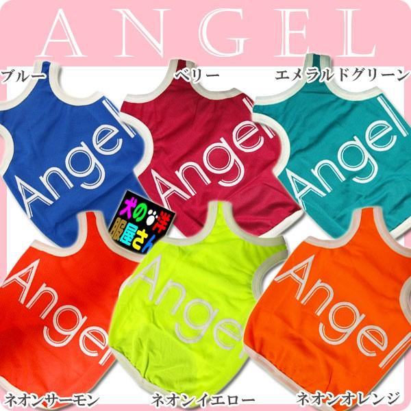  bV^Ngbv jO^Cv Angel GWFi^pELpj ̕Q_wŃ[֑ hbOEFA LbgEFA L̕