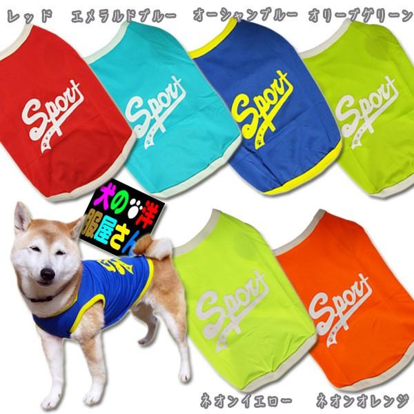  SPORT bV^Ngbv i^pj̕Q_wŃ[֑S[f uh[go[ h[x} VxAnXL[ v[h