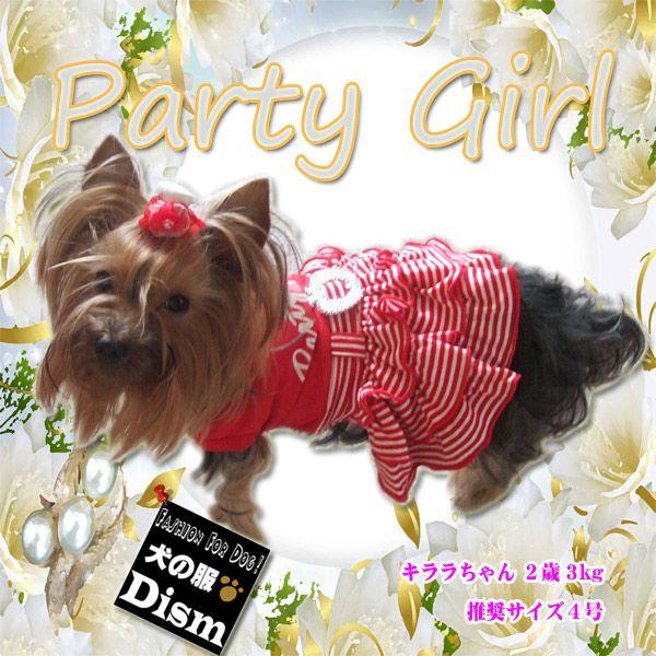  PARTY GIRL s[Xi^ELpjhX XJ[g hbOEFA LbgEFA ̕Q_wŃ[֑