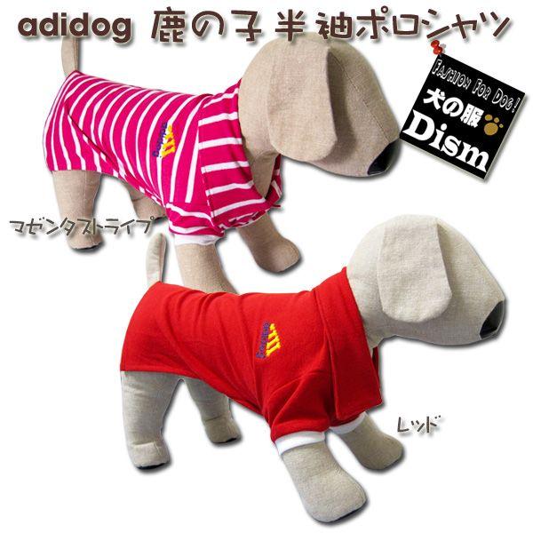  adidog ̎q|Vci^ ^pjhbOEFA ̕Q_wŃ[֑ `[ gCv[h _bNXth |jA