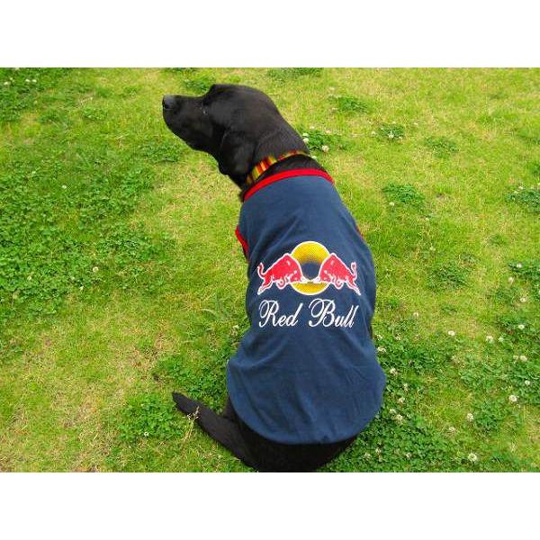  Red Bullibhuj ^Ngbvi^pjhbOEFA ̕Q_wŃ[֑