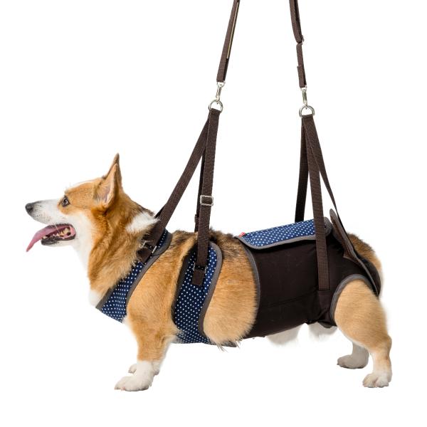 LaLa Walk 歩行補助ハーネス 中型犬用 介護用ハーネス 歩行補助ハーネス ララウォーク パールドット