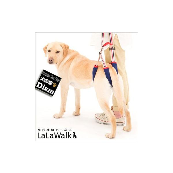 ^ ^p pn[lX s⏕n[lX LaLaWalk STEP 둫p ACr[ EH[N Xebv