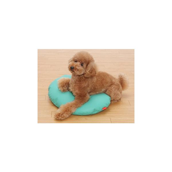 pNbV h~EhNbV MTCYiO[jppi Ѓg{ with