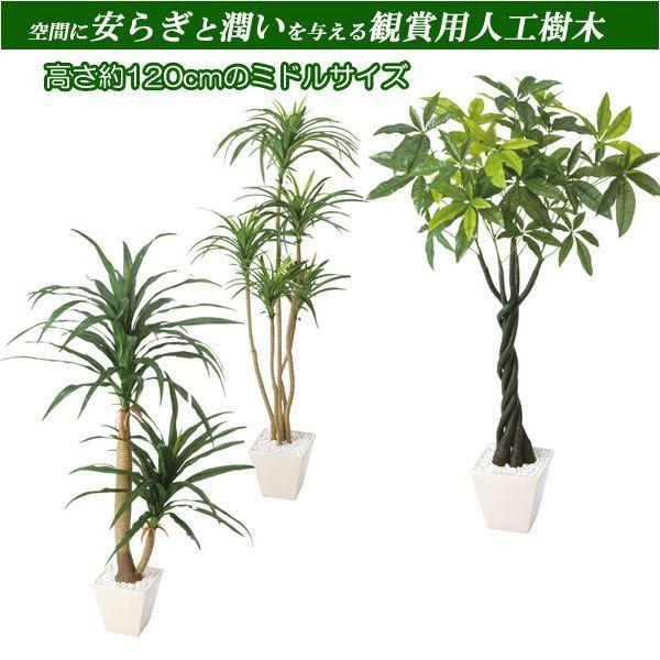 人工観葉植物 コンシナ （H120cm） 1台 人工樹木-