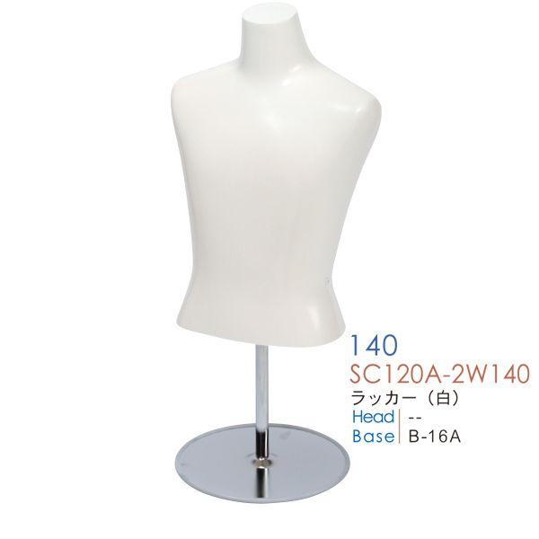 }lL LbYg\[ {fB bJ[ 140cm 11˃TCY