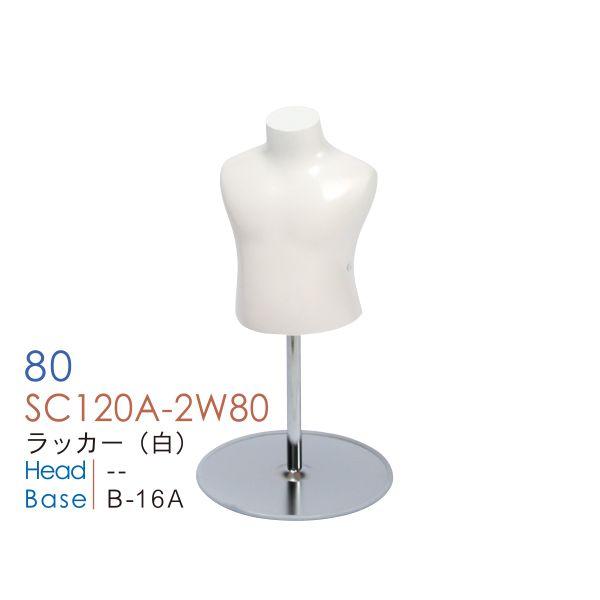 g\[ LbY}lL {fB rȂ bJ[h  J[5F ~`x[X 80cm 1˃TCY SC120A-2W80