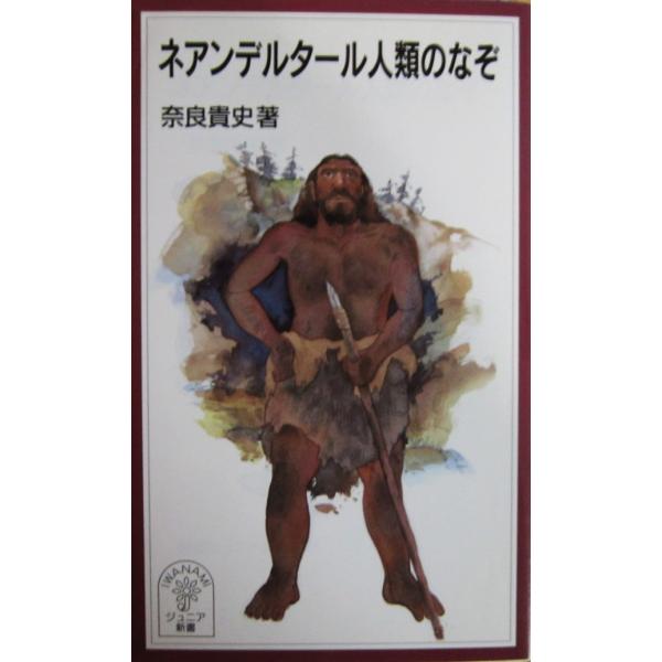 ネアンデルタール人類のなぞ　奈良 貴史著 (岩波ジュニア新書)