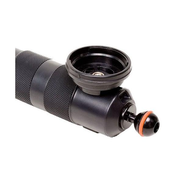 INON/Cm ADYz_[Et[gA[p[707361060000]