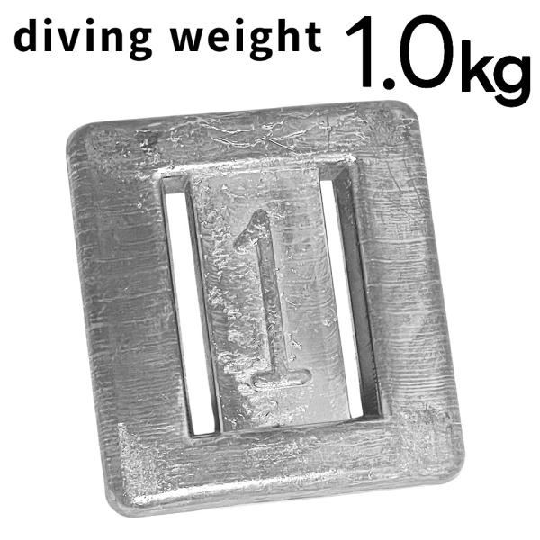 日光社 ダイビングウェイト ノーマルウエイト1kg