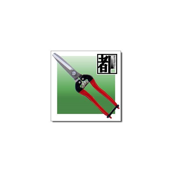 AX ؉LnXeX؍̎͂ 300LW-DX-BP@