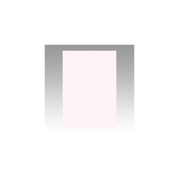 AP{mNE Fp 8c 100 sN 392×271mm 16135 1