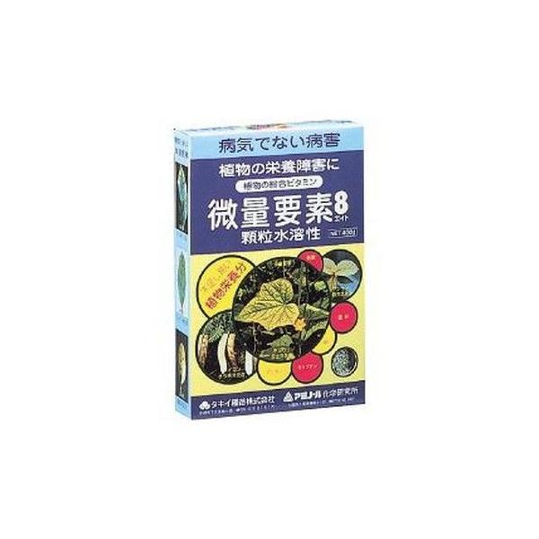 �A�~�m�[���J�K�N�P���L���E�W�� ���ʗv�f�G�C�g 400g