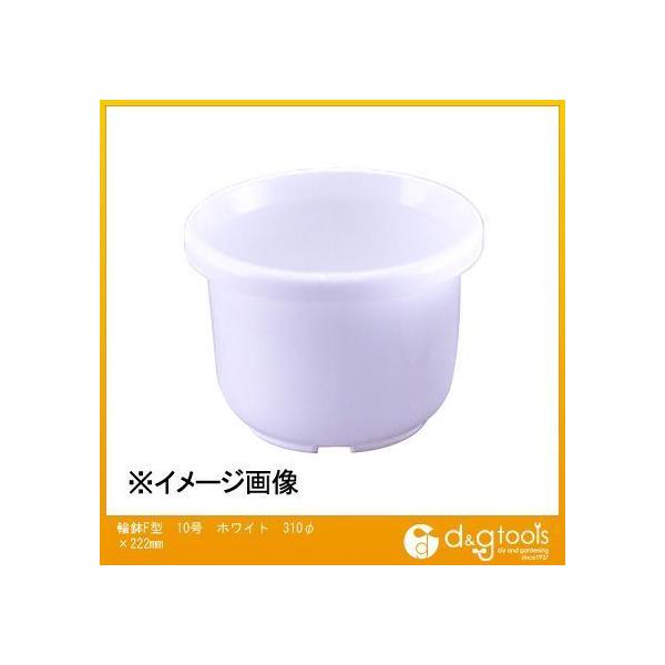 AbvEFA[ ֔F^10 zCg 310×222mm