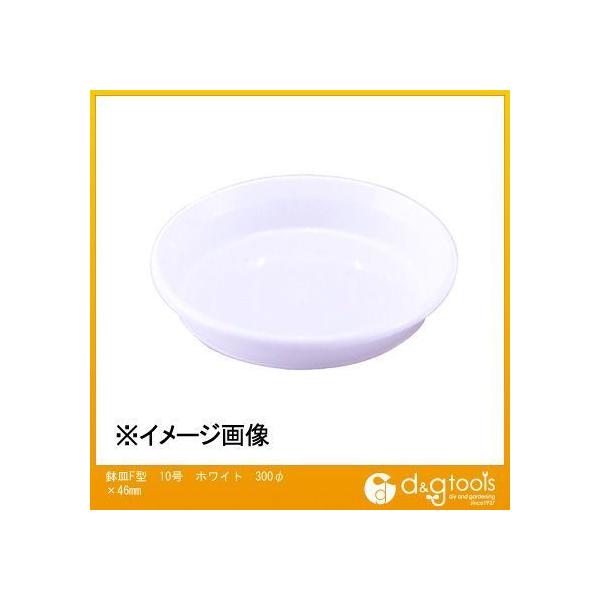 AbvEFA[ MF^i󂯎Mj10 zCg 300×46mm