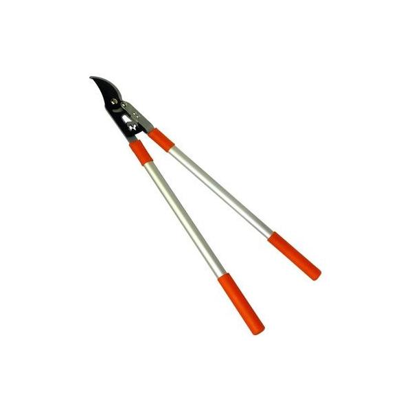 A[NY A~nhMA}  725637