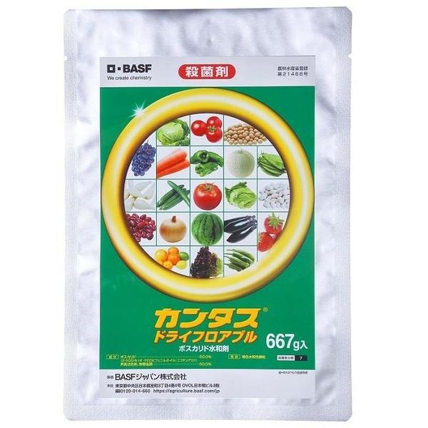 BASFジャパン カンタスドライF 1点