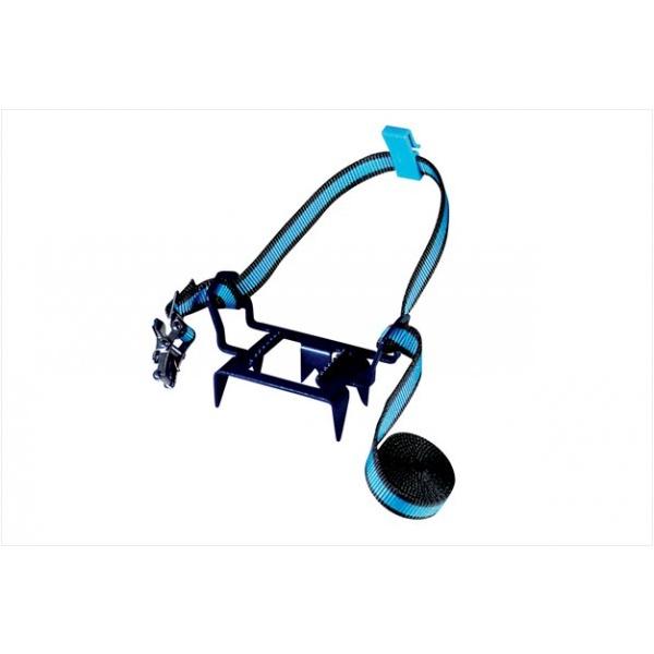 xg yAC[ 7(SEVEN) Zbg (ohEP[Xt) BS-010