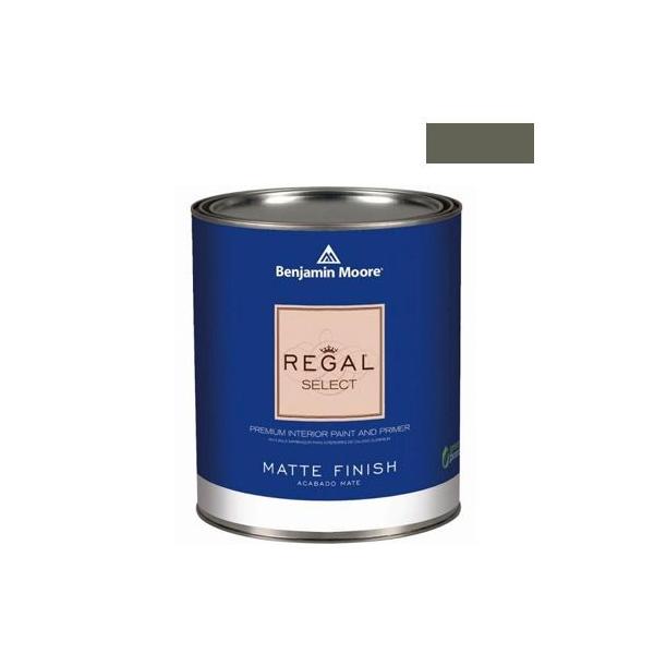 �x���W���~�����[�A�y�C���g ���[�K���Z���N�g�}�b�g�������G�R�����h�� irises 4L G221-1440