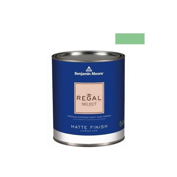 �x���W���~�����[�A�y�C���g ���[�K���Z���N�g�}�b�g�������G�R�����h�� branch brook green 1L Q221-572