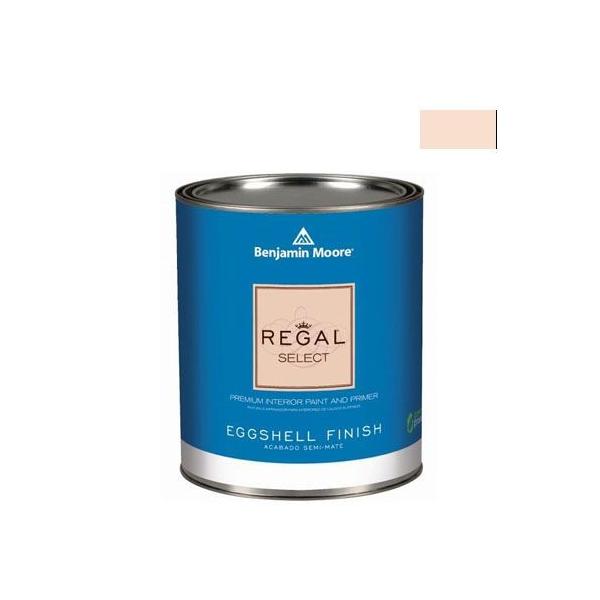 �x���W���~�����[�A�y�C���g ���[�K���Z���N�g�G�b�O�V�F��2�`3�����L��G�R�����h�� nautilus shell 1L Q319-064