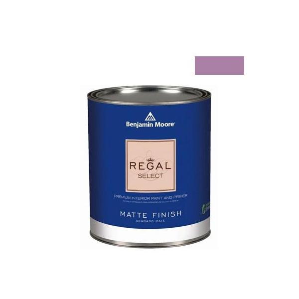 xW~[AyCg [KZNg}bgGRh purple hyacinth 1L Q221-2073-40