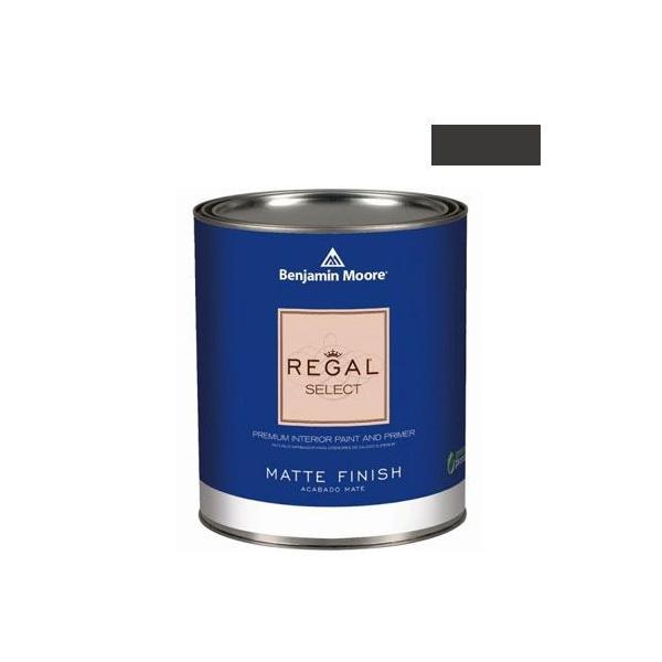 xW~[AyCg [KZNg}bgGRh black beauty 1L Q221-2128-10