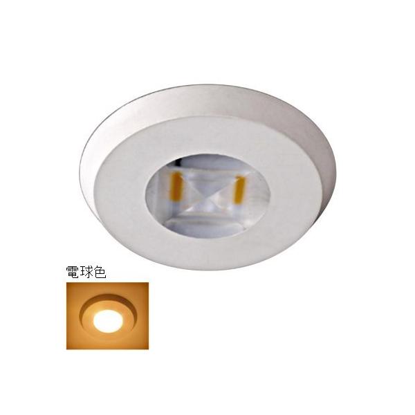 xXg LED_ECg 2Zbg dF(3000)  No.877S2-WH-300