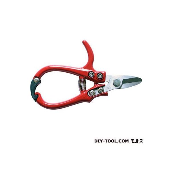  ȉԂ͂ 140mm #557