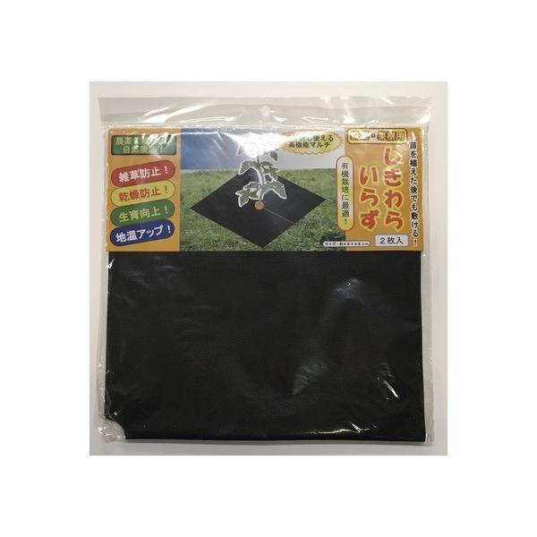 tHXg ؉ʎp炢炸 48X48cm