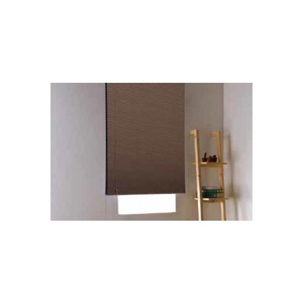 �t���l�X �n�j�J���V�F�[�h�ʎՌ� S203/�Ռ��_�[�N�u���E�� W180XH180cm L6407