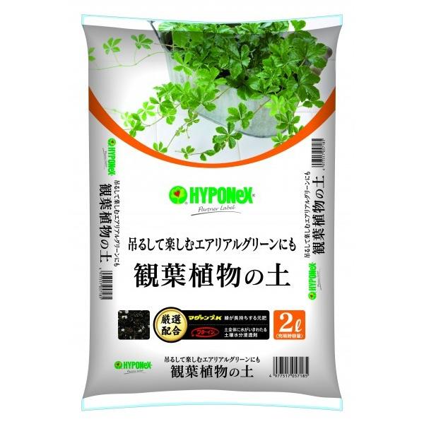 nC|lbNX yĂ悭ϗtA̓y 1