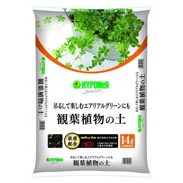 nC|lbNX yĂ悭ϗtA̓y 1