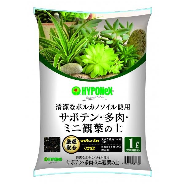 nC|lbNX Ƃ̒łȃT{eEEϗtA̓y 1