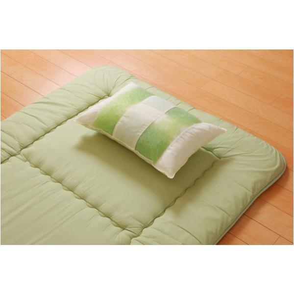 CPqRER[|[V X̖(ЂΖHM)H Pi 35×50×14cm 2905009 1