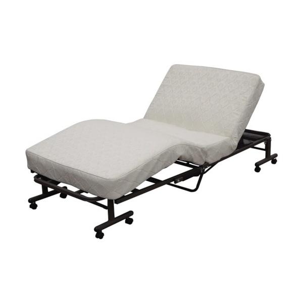 他サイト： アイリスオーヤマ 折りたたみコイル電動ベッド OTB-CDNの商品画像