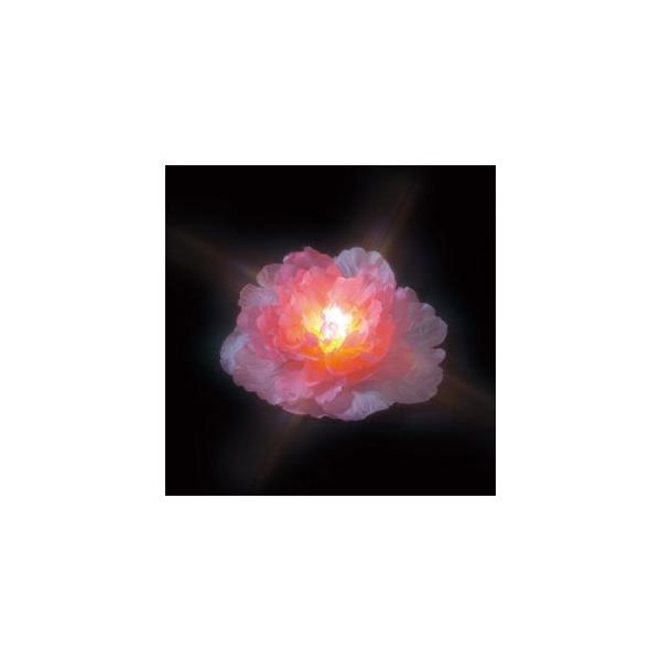 �W�F�t�R��LED�t���[�g(�d�r��)STM-W01P