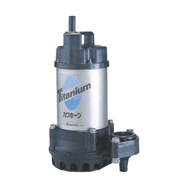 海水 水中ポンプの通販 価格比較 価格 Com