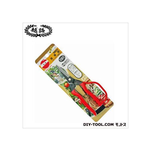 ѐ (K[ht) 255 J-11G