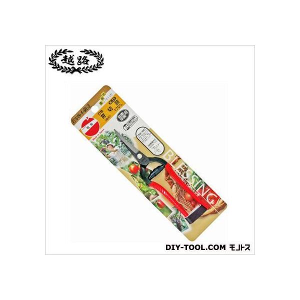 ѐ ŕ(Ȑn) 255 K-11 1_