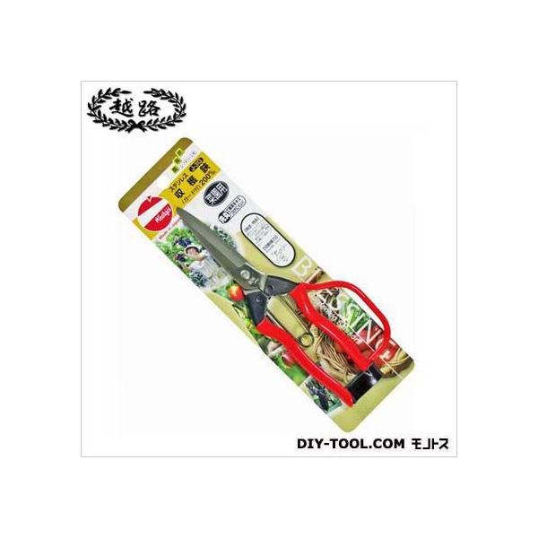 ѐ XeXn(K[ht) 200mm J-3G 1_