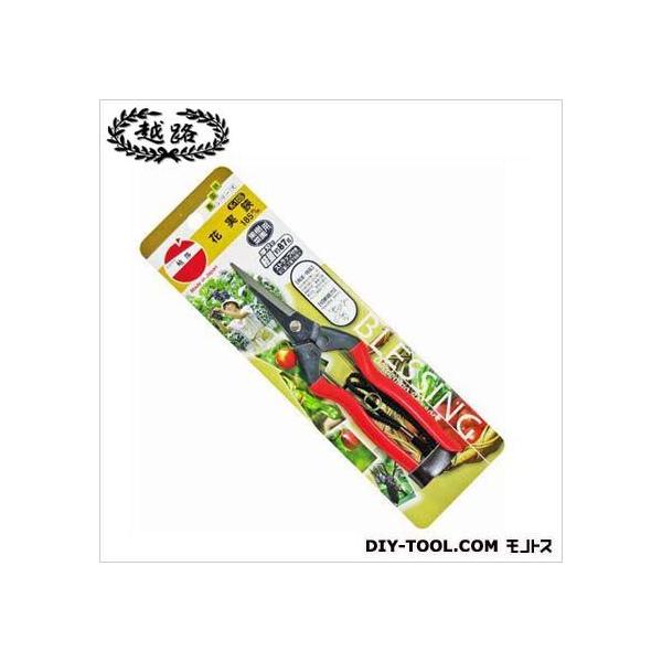 ѐ ԎXgbvt 185mm K-10S